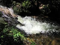  (C) 2010 by G. Doczkal, 
Wildes Wasser, 
48.712086°N/8.249639°E, 1.30  Km von Malschbach, Baden-Württemberg, Germany