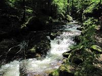  (C) 2010 by G. Doczkal, 
Wildes Wasser, 
48.708660°N/8.249732°E, 1.50  Km von Malschbach, Baden-Württemberg, Germany