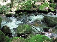  (C) 2010 by G. Doczkal, 
Wildes Wasser, 
48.708199°N/8.249655°E, 1.52  Km von Malschbach, Baden-Württemberg, Germany