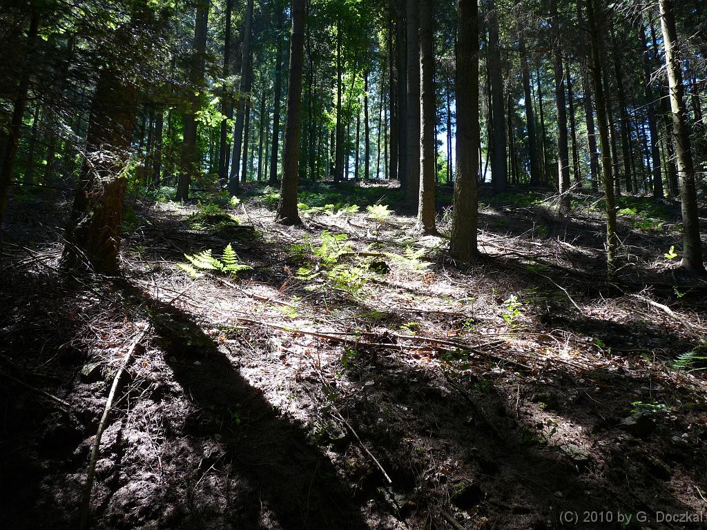 20100604-131537-40