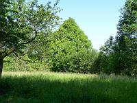  (C) 2010 by G. Doczkal, 
Am Waldrand, 
48.854618°N/8.321830°E, 1.58  Km von Waldprechtsweier, Baden-Württemberg, Germany