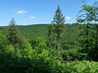  (C) 2010 by G. Doczkal, 
Aussicht ins Waldprechtstal, 
48.839699°N/8.355170°E, 2.36  Km von Freiolsheim, Baden-Württemberg, Germany