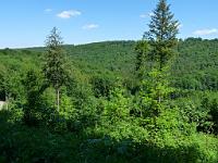  (C) 2010 by G. Doczkal, 
Aussicht ins Waldprechtstal, 
48.839691°N/8.355247°E, 2.35  Km von Freiolsheim, Baden-Württemberg, Germany