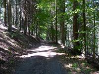  (C) 2010 by G. Doczkal, 
Sommer am Eichelberg, 
48.850578°N/8.333910°E, 1.79  Km von Waldprechtsweier, Baden-Württemberg, Germany