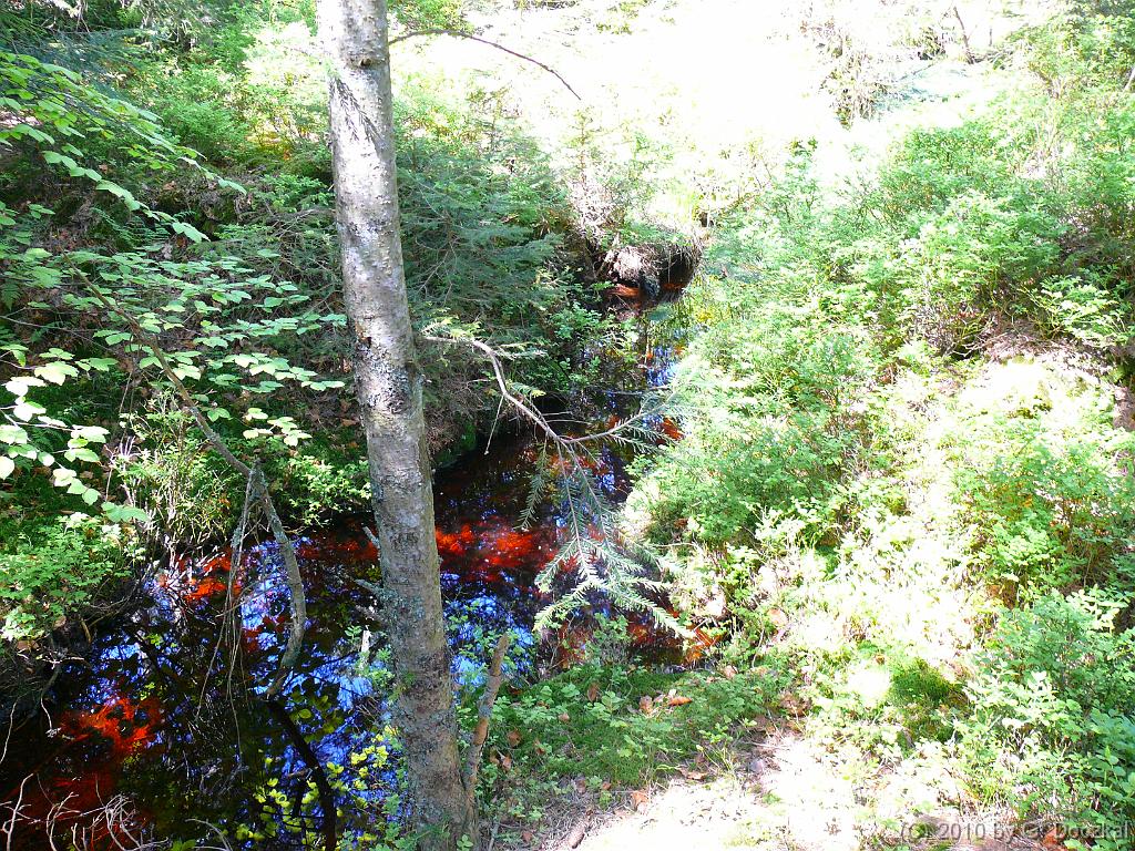 20100605-113849-11