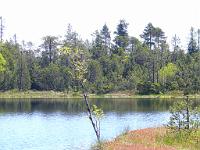  (C) 2010 by G. Doczkal, 
Der Wildsee, 
48.718410°N/8.458012°E, 3.70  Km von Sprollenhaus, Baden-Württemberg, Germany