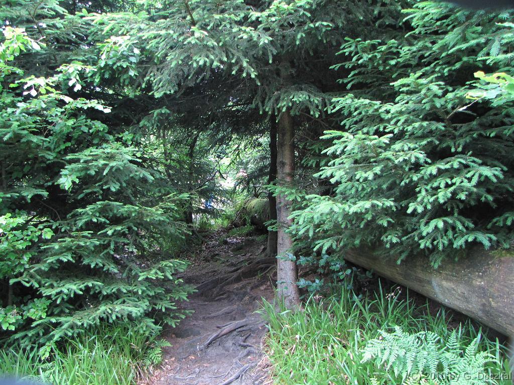 20100626-122256-26