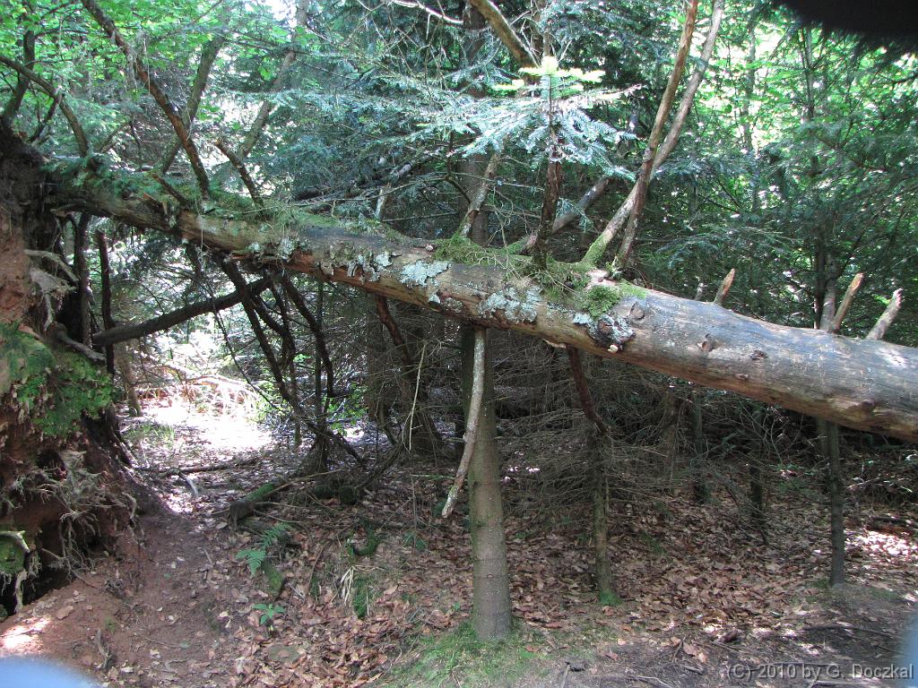 20100626-122552-31