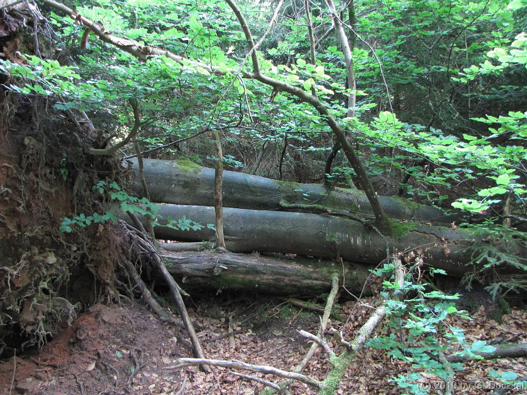 20100626-122740-34