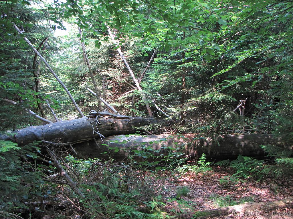 20100626-124254-53