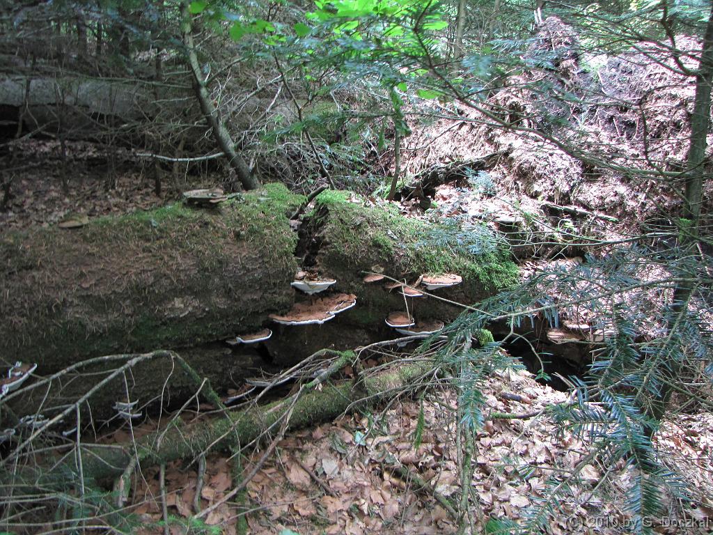 20100626-125755-68