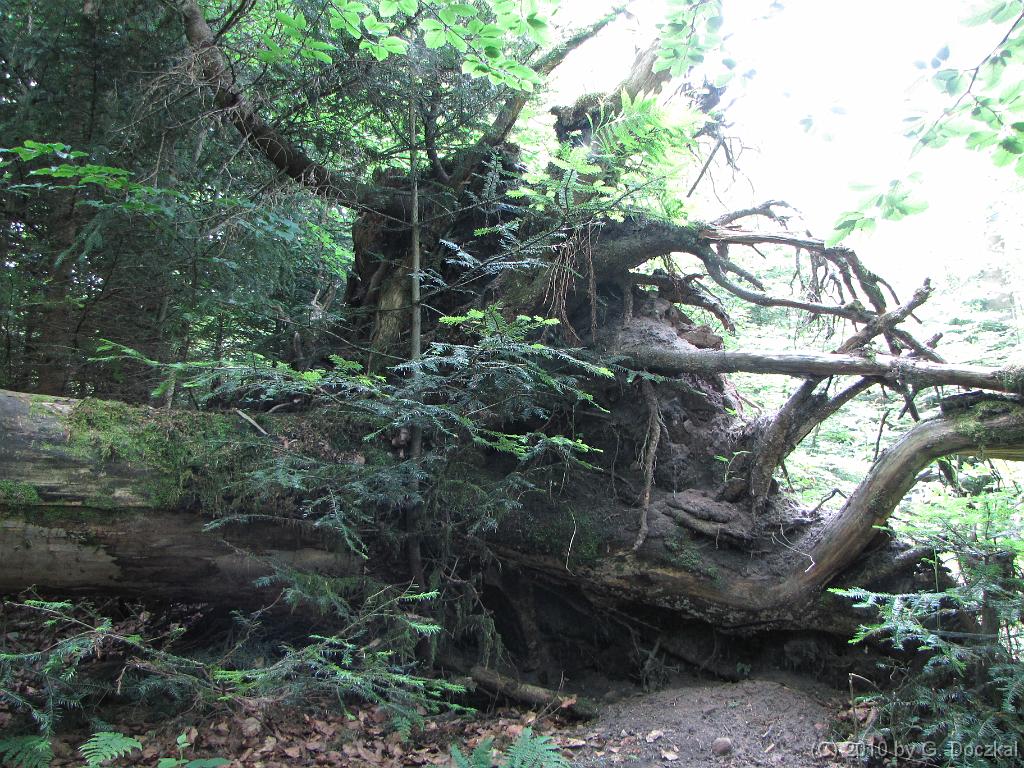 20100626-125918-69
