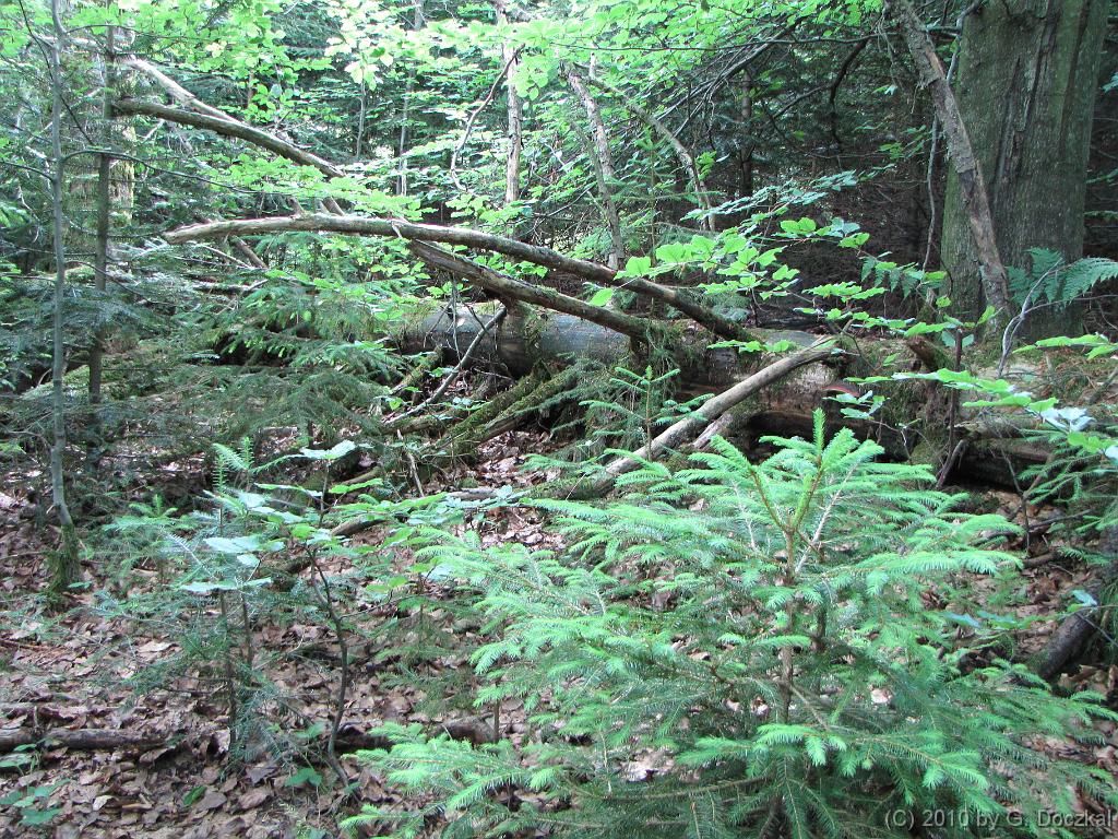 20100626-130018-73