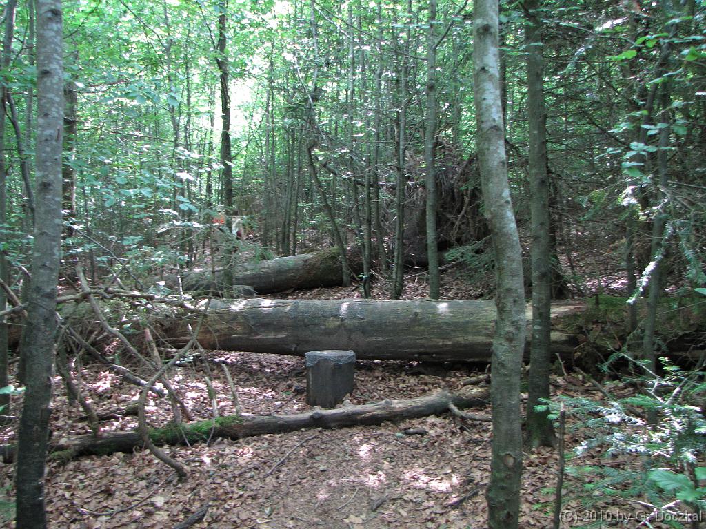 20100626-130305-79