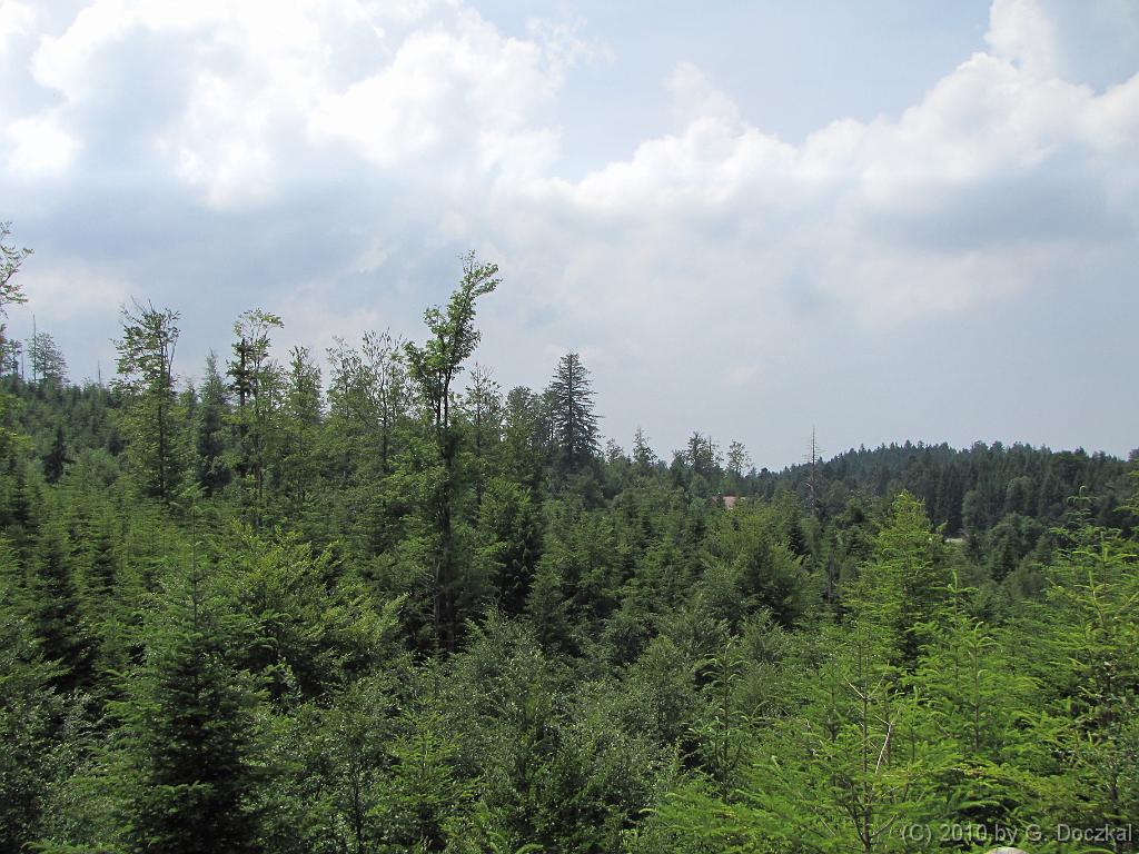 20100626-132126-92
