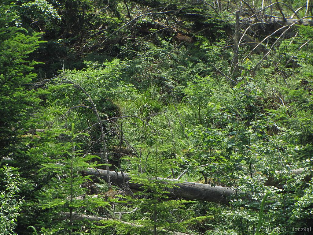 20100626-132342-95
