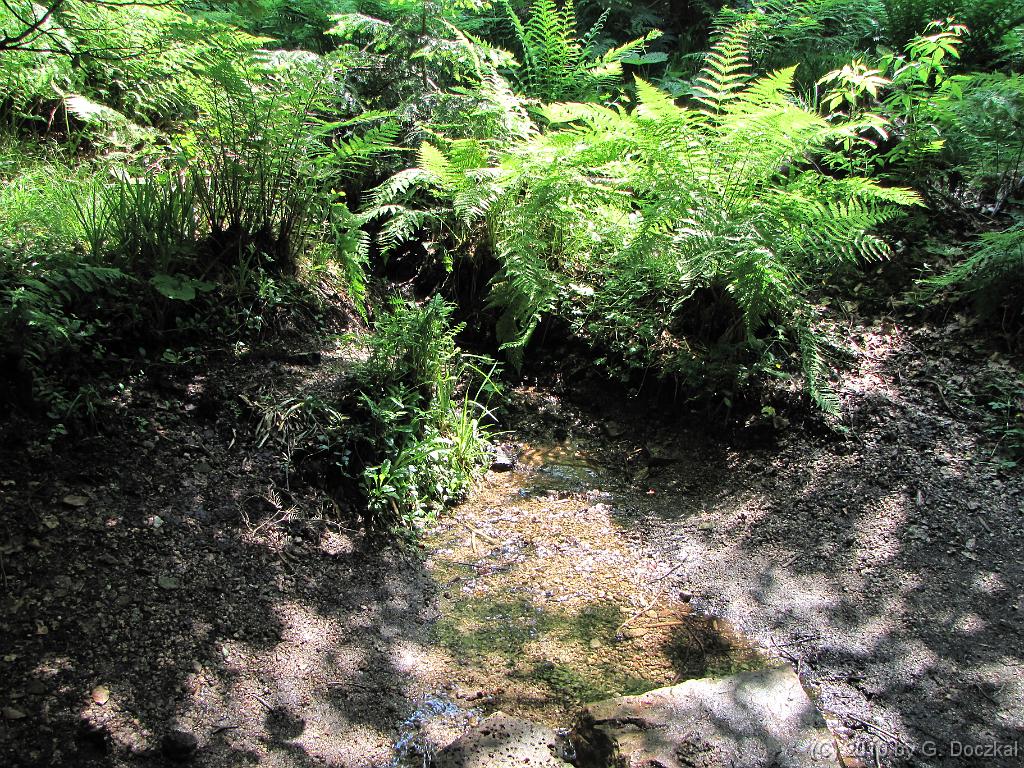 20100626-134144-118