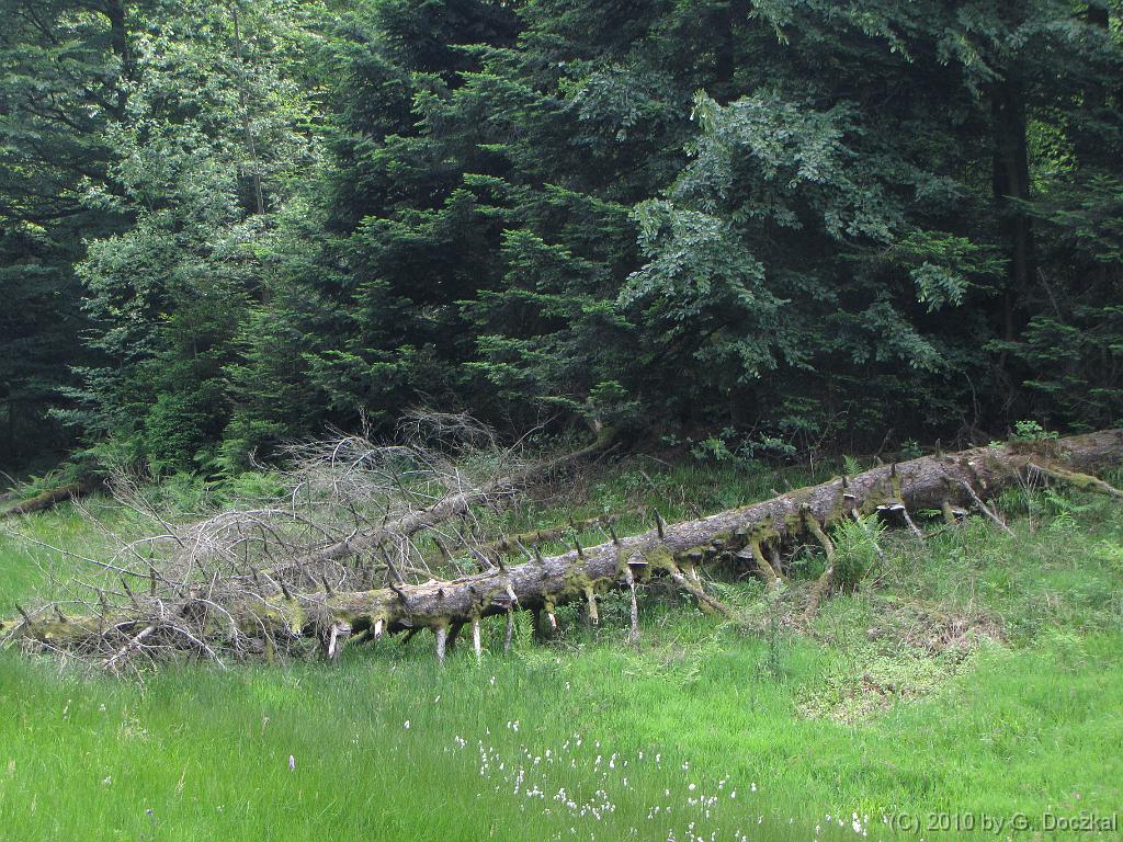 20100626-134722-129