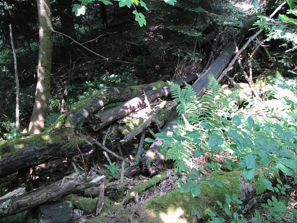 20100626-140539-139