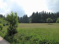 (C) 2010 by G. Doczkal, 
Sommerwiese, 
48.669586°N/8.234200°E, 0.33  Km von Bühlerhöhe, Baden-Württemberg, Germany
