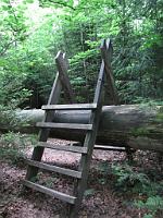  (C) 2010 by G. Doczkal, 
Hindernisse, 
48.673332°N/8.247684°E, 1.29  Km von Bühlerhöhe, Baden-Württemberg, Germany