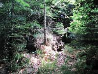  (C) 2010 by G. Doczkal, 
Altes vergeht, Neues entsteht, 
48.672192°N/8.237962°E, 0.70  Km von Bühlerhöhe, Baden-Württemberg, Germany