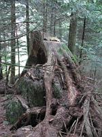  (C) 2010 by G. Doczkal, 
Holz und Stein, 
48.671280°N/8.237556°E, 0.60  Km von Bühlerhöhe, Baden-Württemberg, Germany