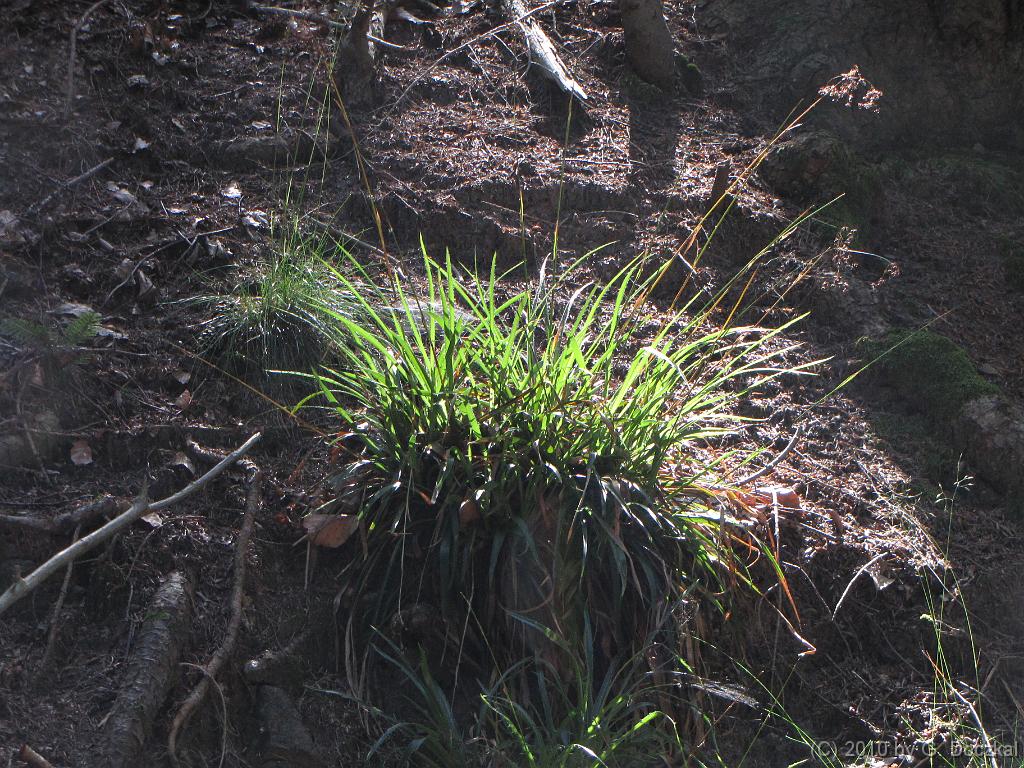20100710-110811-12