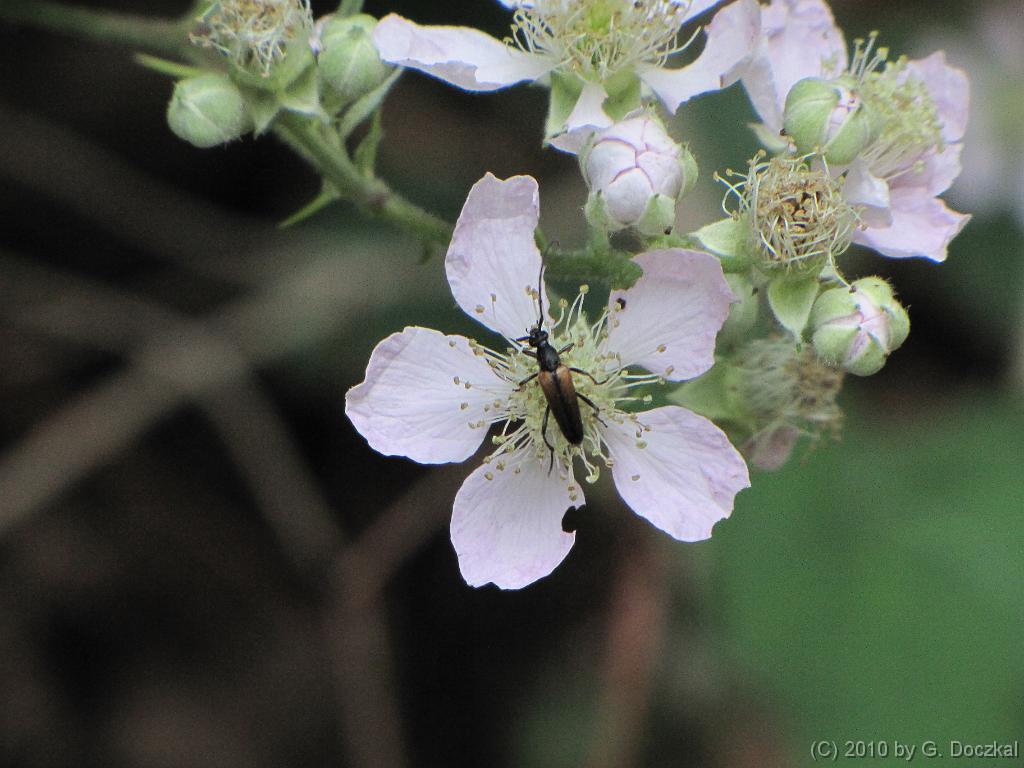 20100710-112117-14
