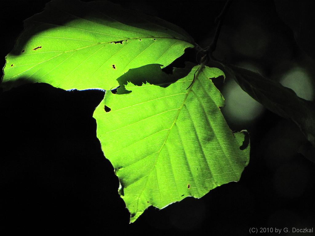 20100710-114611-20