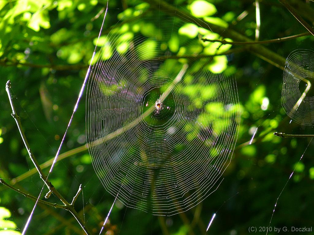 20100820-103219-8