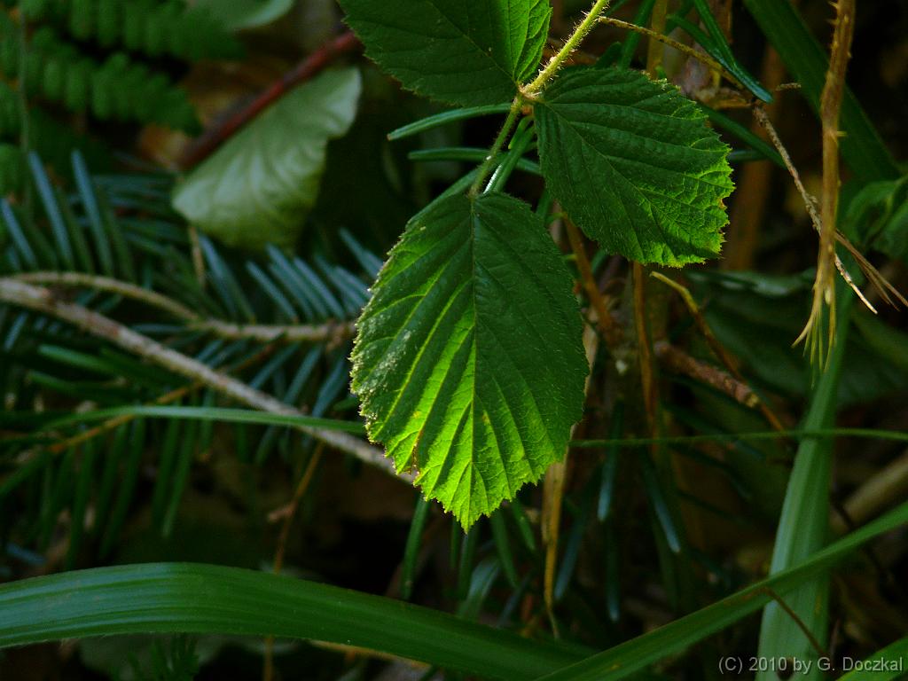 20100820-104154-12