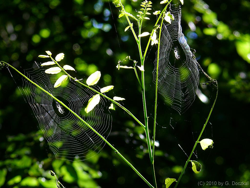 20100820-110906-25