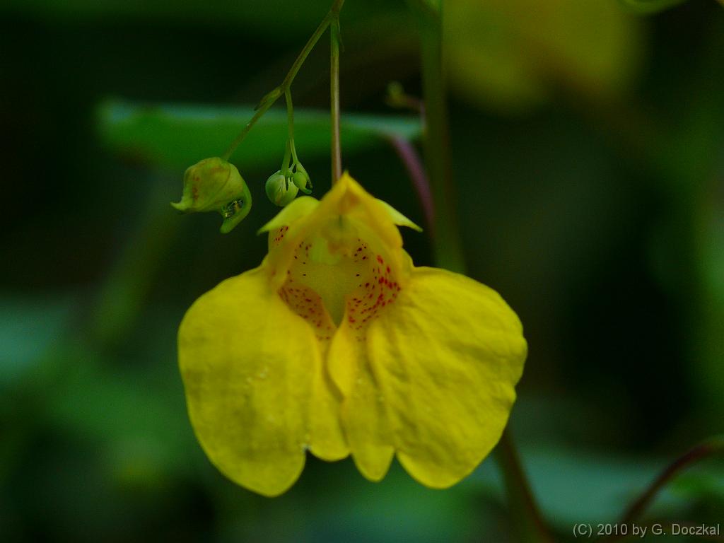 20100820-113412-27
