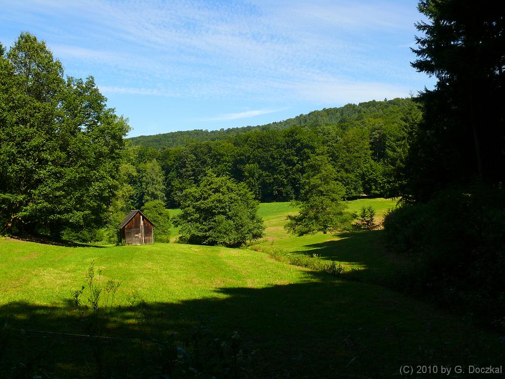 20100820-122824-35