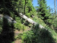  (C) 2010 by G. Doczkal, 
Das Wildseewegle, 
48.572720°N/8.236540°E, 1.54  Km von Hinterlangenbach, Baden-Wuerttemberg, Germany