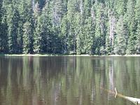  (C) 2010 by G. Doczkal, 
Am Wildsee, 
48.569789°N/8.240638°E, 1.66  Km von Hinterlangenbach, Baden-Wuerttemberg, Germany
