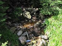  (C) 2010 by G. Doczkal, 
Moorwasser, 
48.572896°N/8.242346°E, 1.29  Km von Hinterlangenbach, Baden-Wuerttemberg, Germany