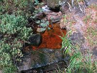  (C) 2010 by G. Doczkal, 
Moorwasser, 
48.573414°N/8.243366°E, 1.21  Km von Hinterlangenbach, Baden-Wuerttemberg, Germany