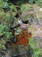  (C) 2010 by G. Doczkal, 
Moorwasser, 
48.573414°N/8.243366°E, 1.21  Km von Hinterlangenbach, Baden-Wuerttemberg, Germany
