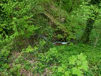  (C) 2011 by G. Doczkal, 
Der Laufbach, 
48.775718°N/8.383406°E, 0.21 Km von Loffenau, Baden-Wuerttemberg, Germany