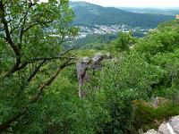  (C) 2011 by G. Doczkal, 
Felsen, 
48.776614°N/8.246286°E, Baden-Baden, Baden-Wuerttemberg, Germany
