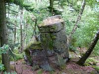  (C) 2011 by G. Doczkal, 
Felsen, 
48.777914°N/8.250565°E, Baden-Baden, Baden-Wuerttemberg, Germany