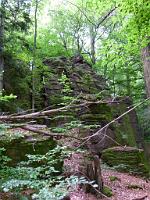  (C) 2011 by G. Doczkal, 
Felsen, 
48.777139°N/8.259203°E, Baden-Baden, Baden-Wuerttemberg, Germany