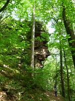  (C) 2011 by G. Doczkal, 
Felsen, 
48.778835°N/8.277456°E, Ebersteinburg, Baden-Wuerttemberg, Germany