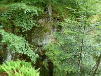  (C) 2011 by G. Doczkal, 
Felsen, 
48.780694°N/8.284052°E, Ebersteinburg, Baden-Wuerttemberg, Germany