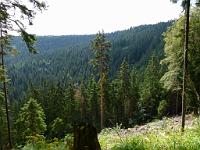  (C) 2011 by G. Doczkal, 
Schwarzwald bei Huzenbach, 
48.571050°N/8.358038°E, Huzenbach, Baden-Wuerttemberg, Germany