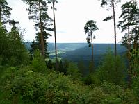  (C) 2011 by G. Doczkal, 
Schwarzwald bei Schoenegruend, 
48.564339°N/8.380272°E, Schoenegruend, Baden-Wuerttemberg, Germany