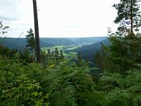  (C) 2011 by G. Doczkal, 
Schwarzwald bei Schoenegruend, 
48.564202°N/8.379150°E, Schoenegruend, Baden-Wuerttemberg, Germany