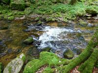  (C) 2012 by G. Doczkal, 
Wildes Wasser, 
48.717469°N/8.244627°E, Malschbach, Baden-Wuerttemberg, Germany